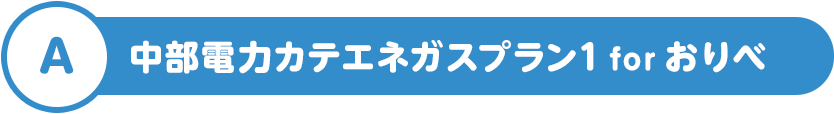 A 中部電力カテエネガスプラン1 for おりべ