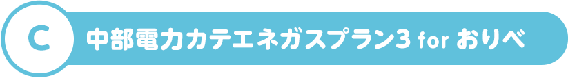 C 中部電力カテエネガスプラン3 for おりべ