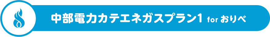 中部電力カテエネガスプラン1 for おりべ